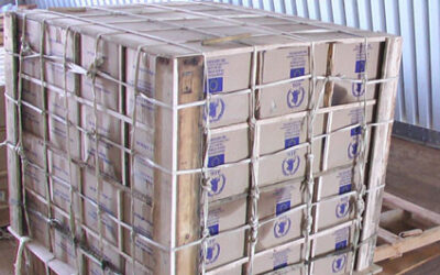 Humanitarian Mission in the Republic of Sudan: 70 Tons of Cargo Dropped with 100% Safety (January 2011)