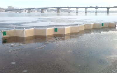 Боновые заграждения